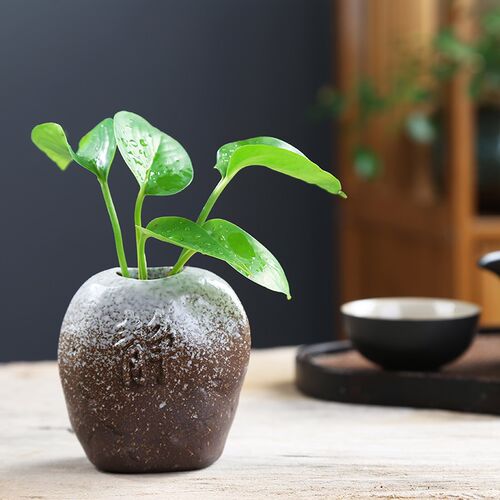 粗陶迷你小花器水培绿萝植物花瓶禅意插花摆件茶盘装饰水养铜钱草