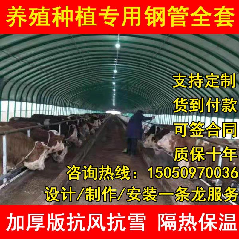 养殖大棚钢管骨架全牛棚羊圈猪舍养鸡场温室种植椭圆管定制
