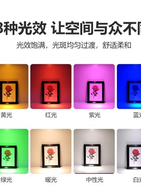 彩色明装小展示柜酒柜吸顶免孔打孔绿光蓝光粉红色超薄筒灯