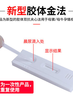 母猪测孕测试纸试盒 猪用怀孕测试试纸 奶牛怀孕检测卡测试纸
