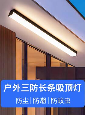 阳光房专用吸顶灯户外阳台入户灯防雨走廊顶灯长条露台屋檐阳光棚