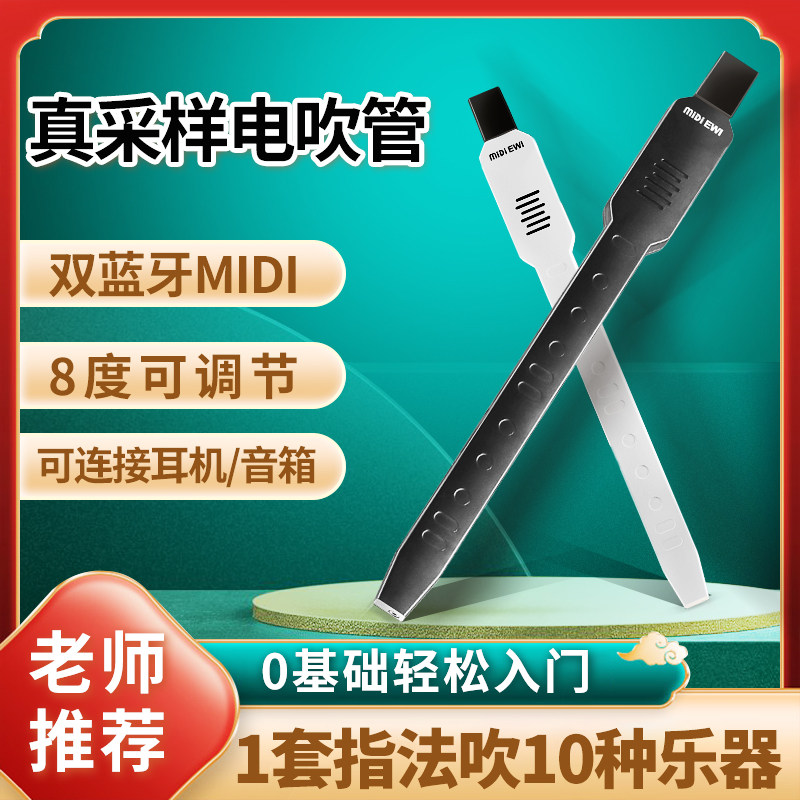 VELMER电吹管乐器中老年人初学专业十种乐器大全