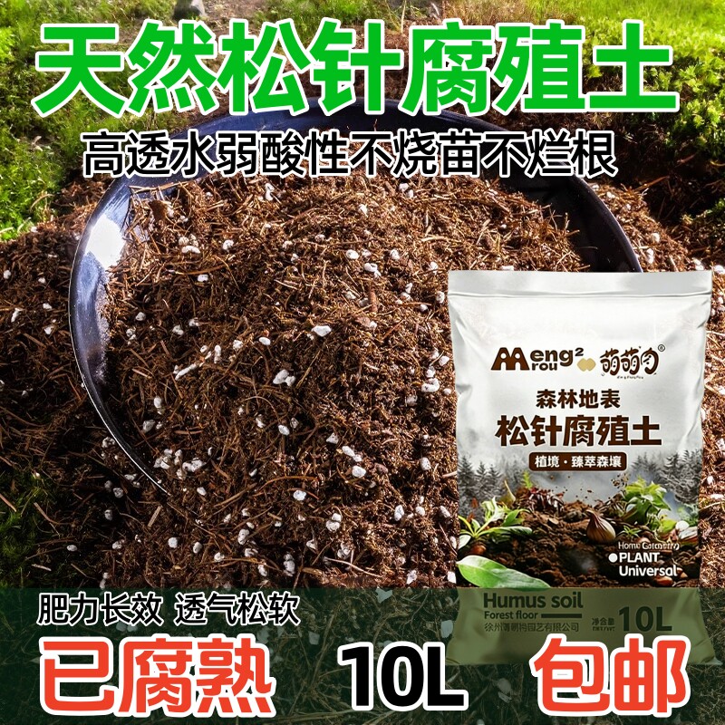 松针腐殖土天然腐叶腐熟纯君子兰花多肉营养土养花通用专用土泥炭