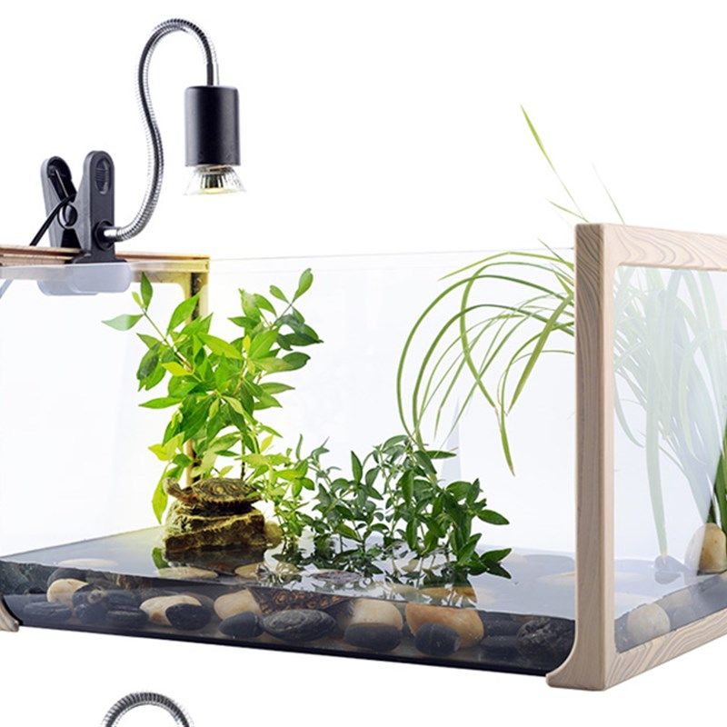 入门爬虫加热灯架全光谱乌龟晒背鬃狮蜥uvb太阳灯爬宠夹灯罩uva,宠物/宠物食品及用品,爬宠缸/箱,淘宝优惠券,粉丝福利购,淘宝优惠卷