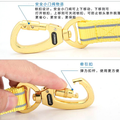 Dogness多尼斯狗狗牵引绳带子大型犬中型小型犬泰迪金毛宠物链子