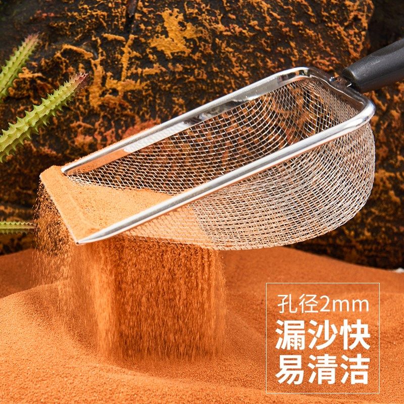 爬虫爬宠专用不锈钢沙铲砂铲陆龟蜥蜴守宫蜘蛛蛇垫材残渣粪便清理,宠物/宠物食品及用品,爬宠清洁及日用品,淘宝优惠券,粉丝福利购,淘宝优惠卷