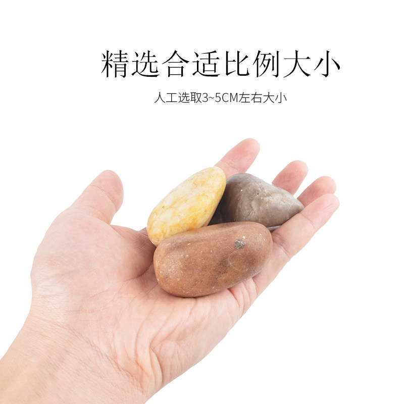 乌龟缸装饰底砂天然鹅卵石鱼缸水族箱造景石头雨花石五彩小石沙子,宠物/宠物食品及用品,造景/装饰,淘宝优惠券,粉丝福利购,淘宝优惠卷