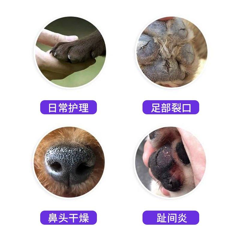 宠物润足膏狗狗猫咪保护脚掌干裂滋润肉垫补水爪子鼻头护理润足霜,宠物/宠物食品及用品,脚掌滋润/防滑/护理,淘宝优惠券,粉丝福利购,淘宝优惠卷