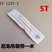 大梁校正仪吊装 带绑带尼龙带保险绳钢丝绳汽车钣金夹钳夹具配件