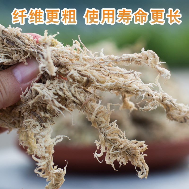 蝴蝶兰花白水苔营养土爬虫铺垫干水苔兰花无土栽培介质花土