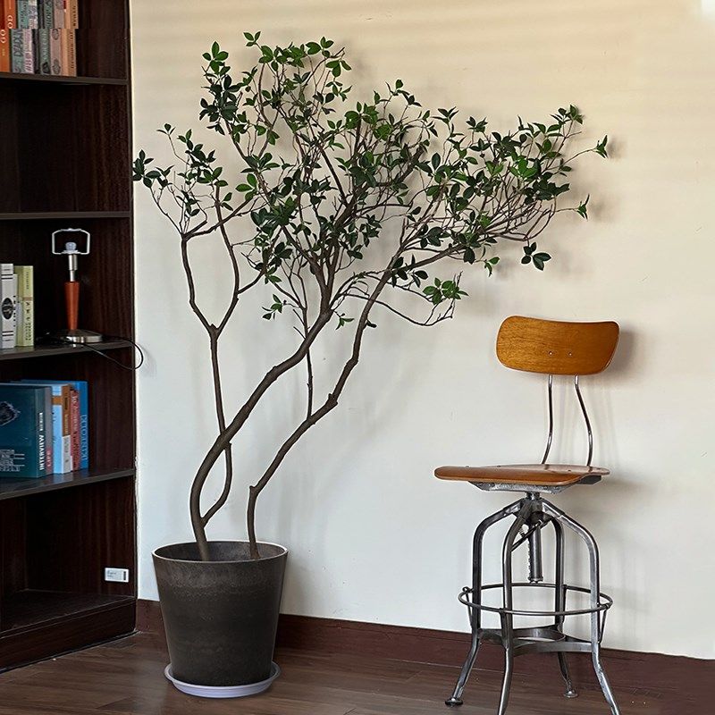 复古怀旧大型绿植水泥花盆创意个性简约落地大号阳台植物盆景花器,家居饰品,花盆,淘宝优惠券,粉丝福利购,淘宝优惠卷