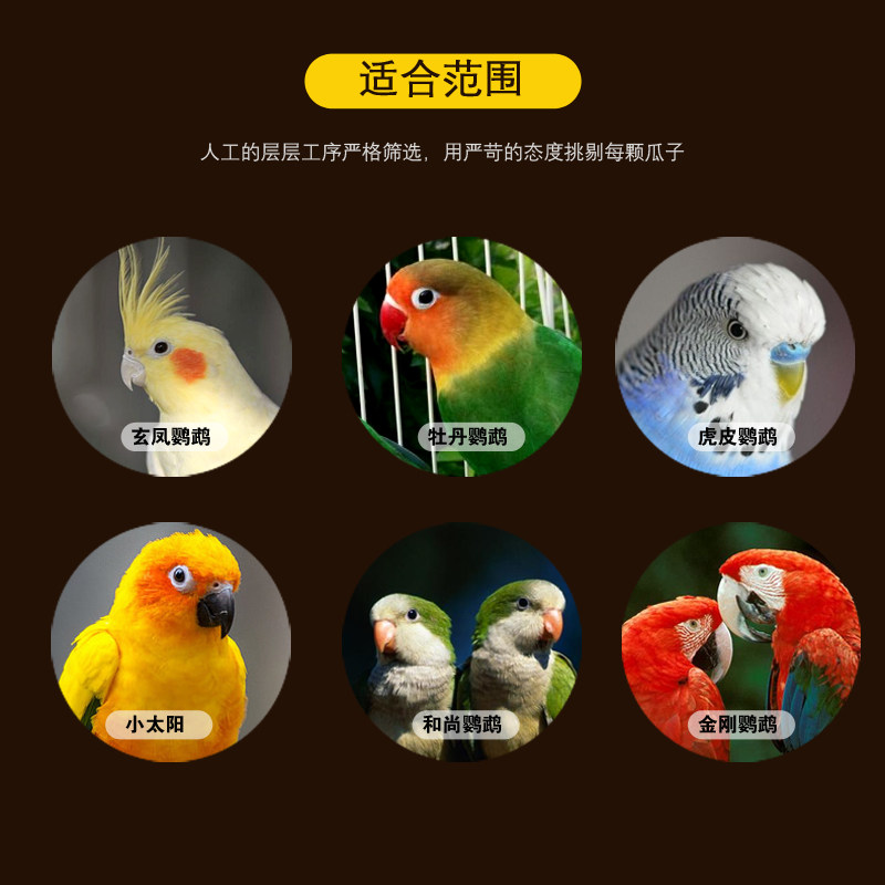 鹦鹉小瓜子鸟食鸟粮饲料宠物零食葵花子油葵籽虎皮牡丹玄凤磨牙食