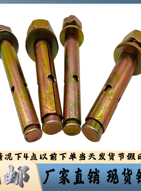 外膨胀螺丝镀彩锌拉爆铁爆炸钉mmmmmmmm厘毫米蓬胀螺丝