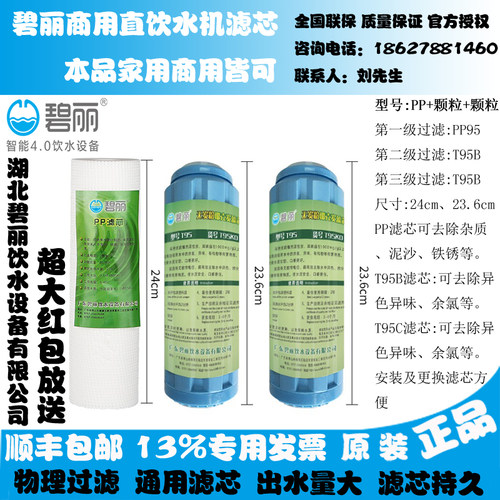 碧丽原装净水器饮水机芯T9DT9活性炭9棉水器芯