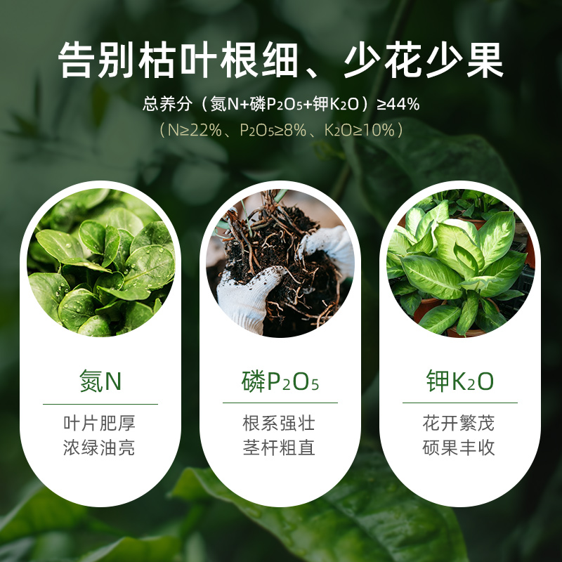 新洋丰观叶缓释肥颗粒通用型复合肥花肥有机肥料家用盆栽专用植物