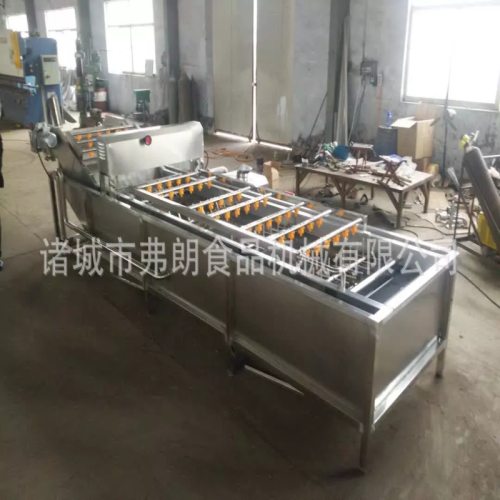 果蔬清洗风干分级成套设备商用不锈钢气泡清洗机荔枝气泡清洗机