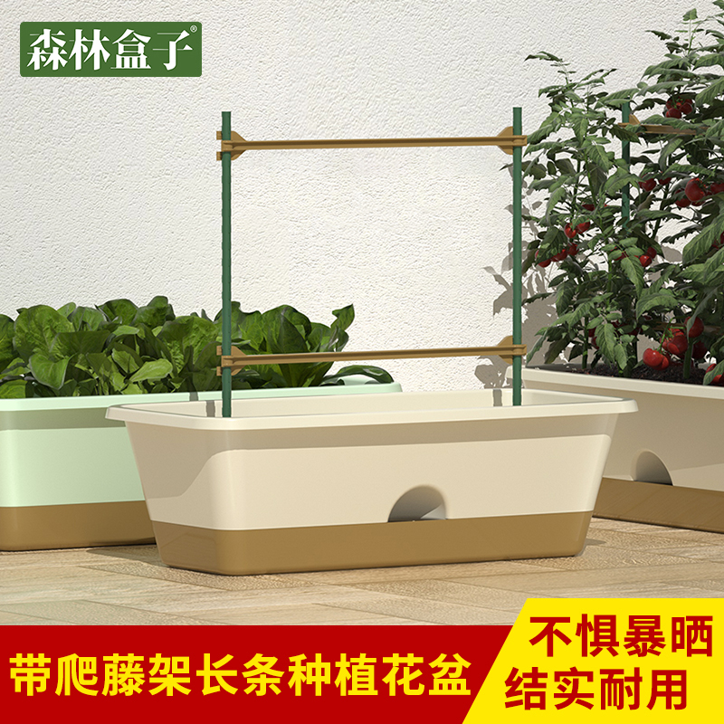 家庭阳台种菜花盆草莓盆栽蔬菜种植盆树脂长方形花盆特大号长条盆