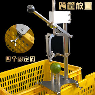 开陈皮机神器新会陈皮开皮机开柑皮器新会手动传统三刀开陈皮工具