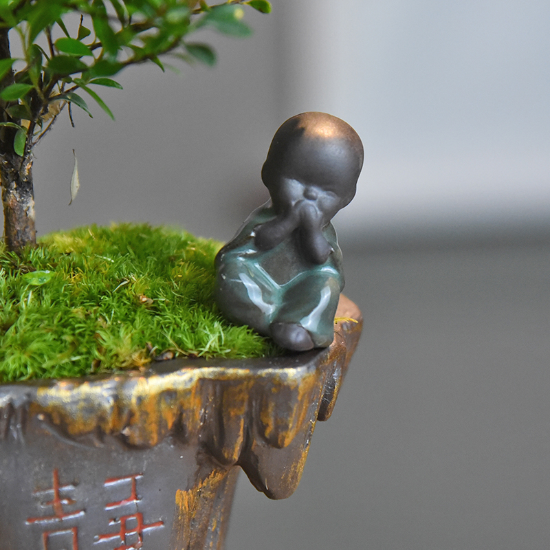 茶桌绿植小叶赤楠盆景老桩植物办公室内花卉客厅四季常青懒人盆栽