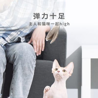 霍曼homerun 伸缩玻纤维木柄仙女羽毛铃铛逗猫棒耐咬猫咪自嗨玩具