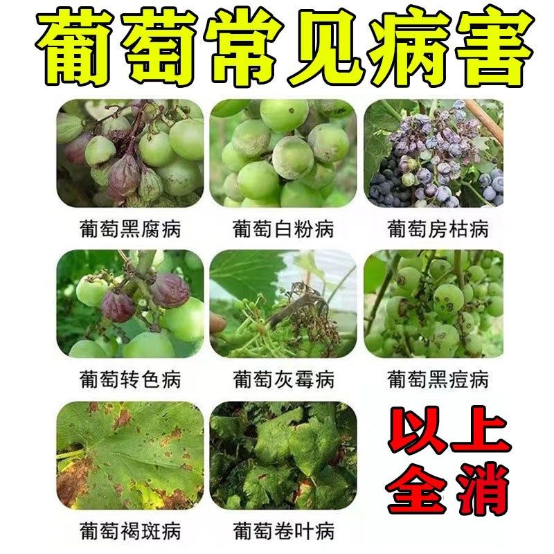 葡萄树专用药防白腐霜霉炭疽黑痘软腐病保花保果防落果肥料杀菌剂,鲜花速递/花卉仿真/绿植园艺,家庭园艺肥料,淘宝优惠券,粉丝福利购,淘宝优惠卷