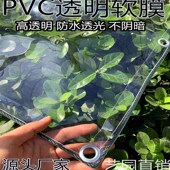 透明防雨布防水布窗户阳台遮挡雨围布防水防风篷布多肉PVC加厚