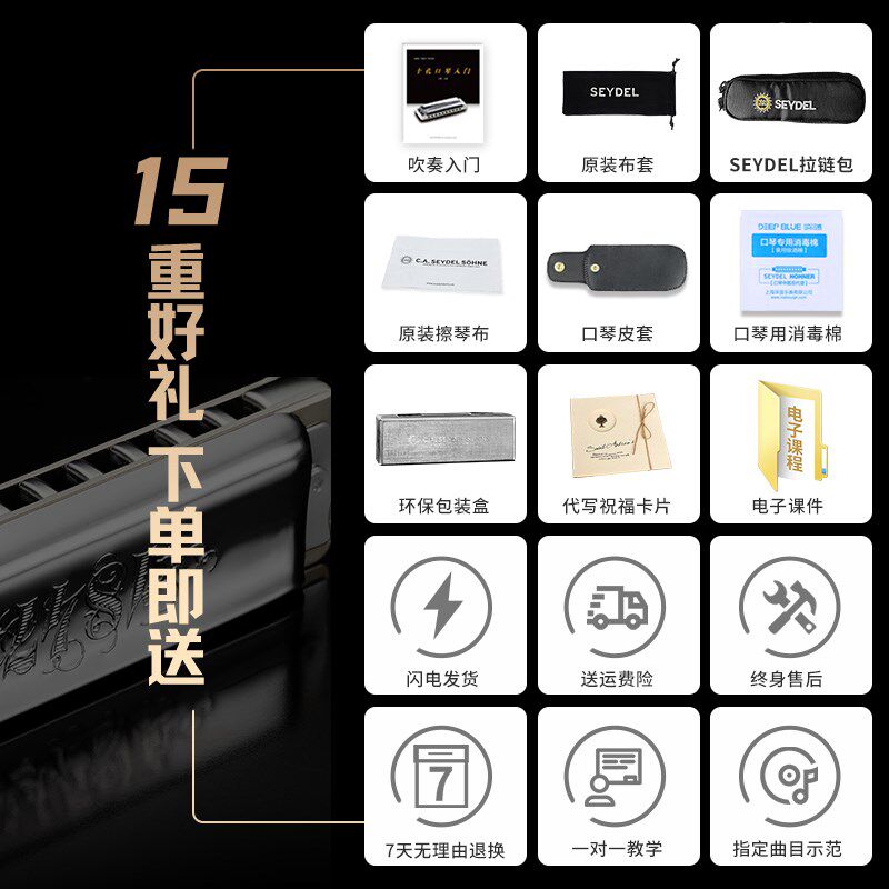 口琴赛德DL十孔布鲁斯N蓝调口琴NOL初学级