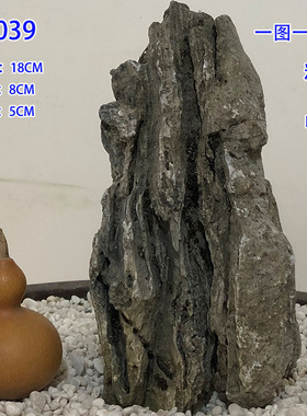 抱树石天然造景石客厅田园精品盆景桌面庭院附树石送礼装饰品摆件