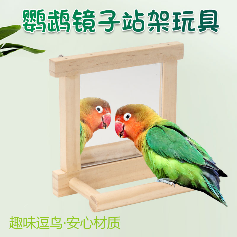 鹦鹉用品虎皮牡丹玄凤啃咬棒花椒木站架镜子小站台鸟笼站架杆玩具