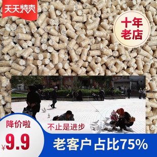 广场鸽子公园鸽子专用鸽子饲料白鸽食孩子亲子广场鸽食物2斤 鸽粮