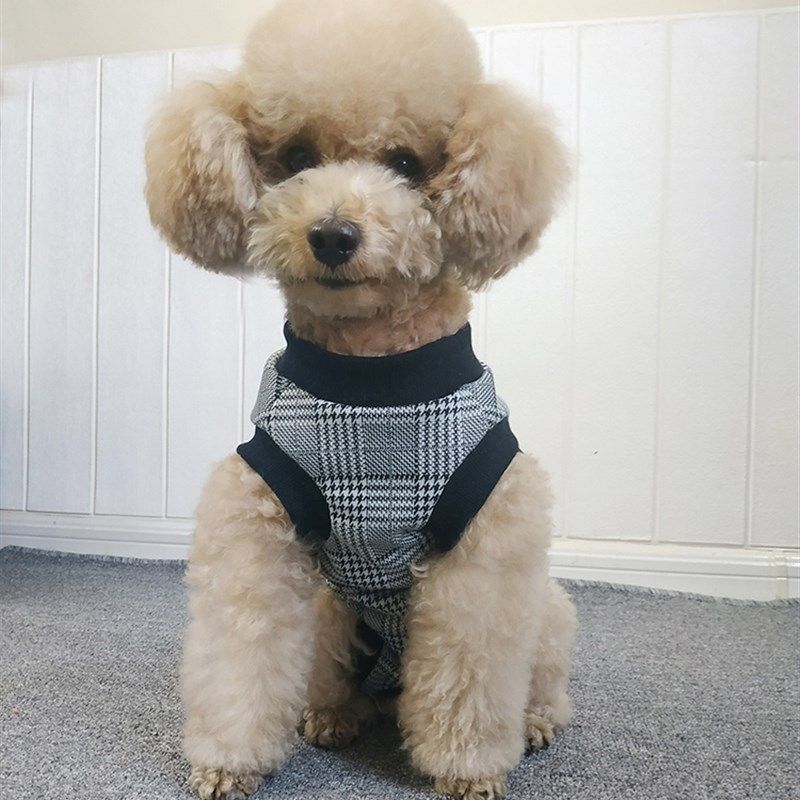 泰迪比熊秋冬母狗狗加绒保暖包肚子护肚马甲高领格子背心断奶衣服,宠物/宠物食品及用品,狗宠物服装/雨衣,淘宝优惠券,粉丝福利购,淘宝优惠卷