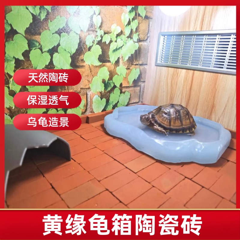 黄缘龟箱造景专用砖乌龟垫材小红砖安缘饲养缸陶土砖陆龟铺地装饰