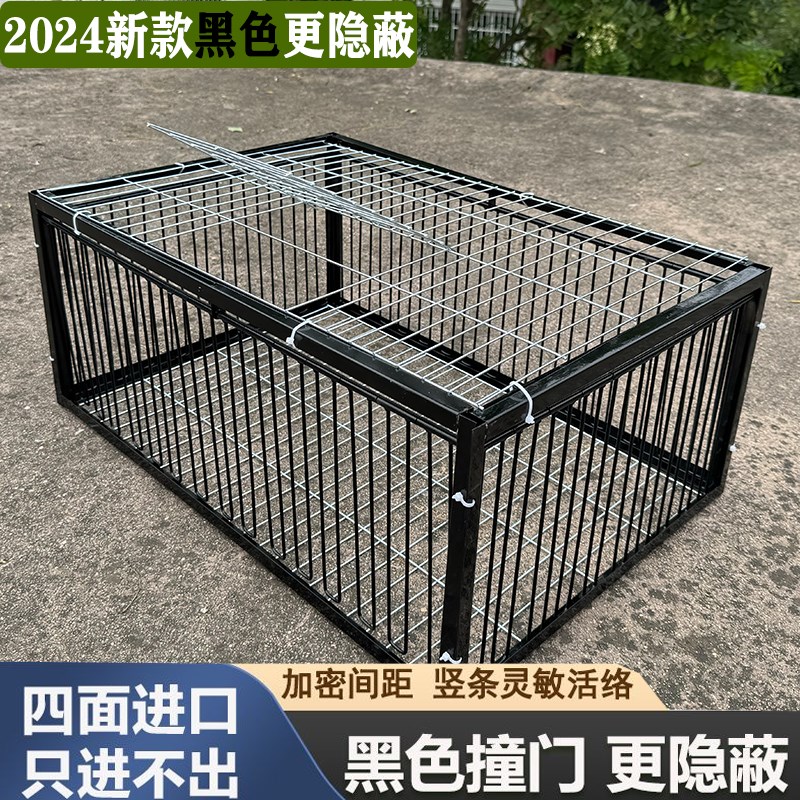 新款收鸽笼神器加密只进不出全自动楼顶地抓鸽子笼撞门笼只进不出