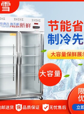 双门三门冷藏保鲜展示柜移动门对开门烧烤火锅水果串串酒水饮料柜
