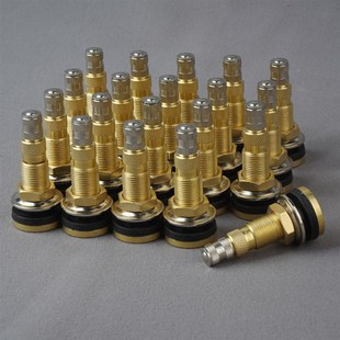 TR618A纯铜气液型气门嘴卡车农用车工程车充气嘴无内胎压紧式 气嘴