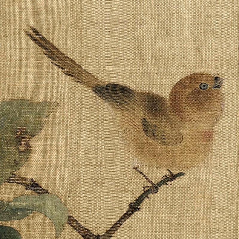 国画工笔花鸟画微喷字画宣纸画心客厅玄关仿古挂画林椿果熟来禽图