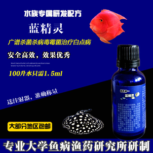 水族鱼药细菌霉菌七彩龙鱼魟鱼埃及神仙异型定水检疫交叉感染