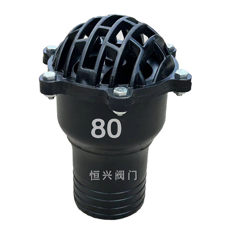 插管底阀止回阀单向阀碳钢水泵抽水吸水阀升降式花篮头莲蓬头底阀