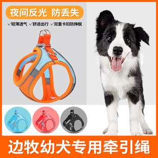 边境牧羊犬幼犬专用牵引绳遛狗绳超小体犬小型犬小狗胸背狗绳狗狗