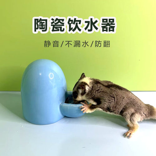 蜜袋鼯饮水器立式陶瓷支架刺猬花枝鼠仓鼠水壶水樽金丝熊喝水用品