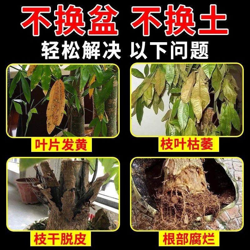 发财树叶斑病专用杀菌剂治叶子发黄枯掉叶烂根营养液肥料专用肥,鲜花速递/花卉仿真/绿植园艺,家庭园艺肥料,淘宝优惠券,粉丝福利购,淘宝优惠卷