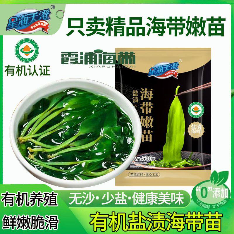 星海天澄有机海带苗商用盐渍海带苗地标霞浦海带嫩苗海带嫩牙批发