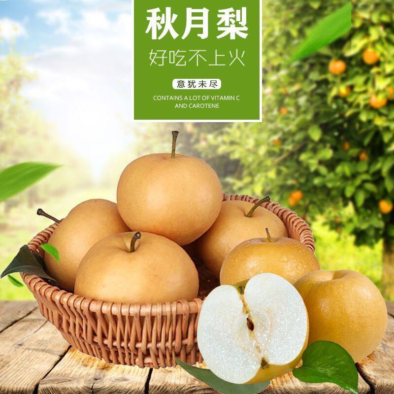 鼠贝贝专属缘野鲜踪山东秋月梨新鲜应季水果脆甜多汁3斤/4.5斤顺