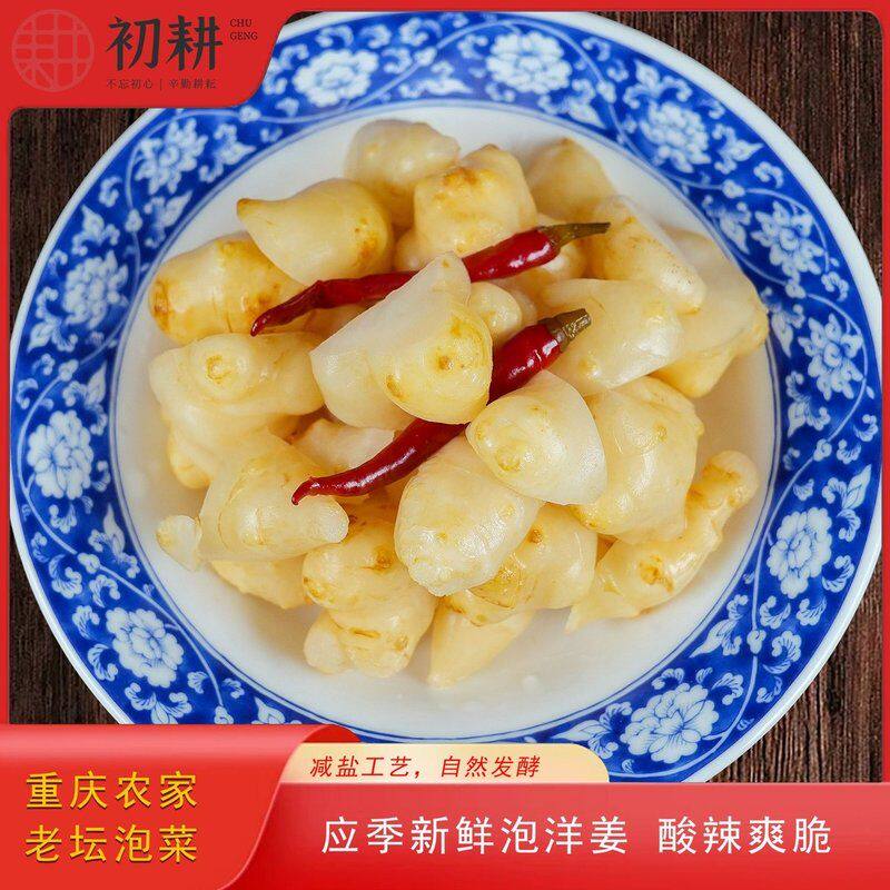 2026新泡洋姜酸辣味洋生姜泡拐姜洋姜咸菜泡菜即食下饭菜四川泡菜