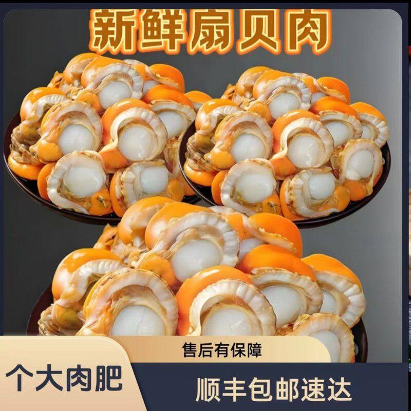 超大号扇贝肉当季新货20/40扇贝肉 无壳无泥沙扇贝肉到手5包
