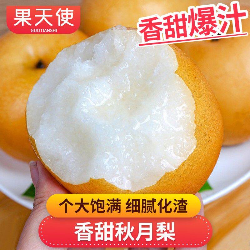 果天使山东莱阳秋月梨4.5斤皮薄无渣新鲜水果送礼礼盒好吃