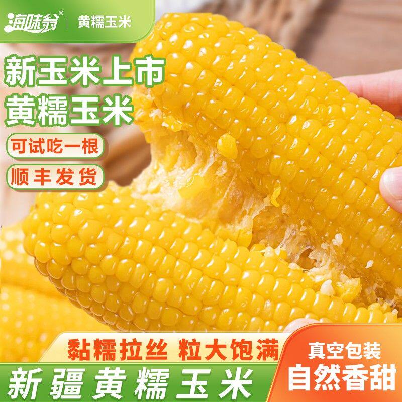 海味翁 2026新疆黄糯玉米2kg/箱 软糯香甜 新玉米 一箱8根