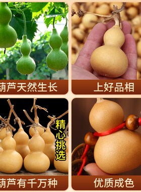 大五帝钱挂件真品天然葫芦门对门秦半两汉唐宋明老铜钱古币吉祥结
