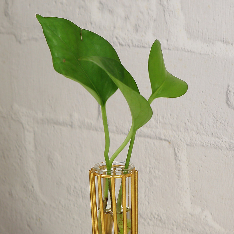 北欧铁艺金色小花瓶小口迷你插花摆件办公室桌面水培绿萝试管器皿,家居饰品,花瓶,淘宝优惠券,粉丝福利购,淘宝优惠卷