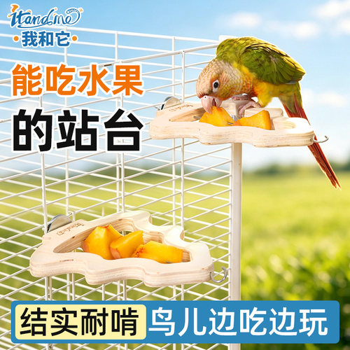 鸟用不锈钢鹦鹉水果叉签鹦鹉专用水果固定喂食器站台鸟笼配件用品
